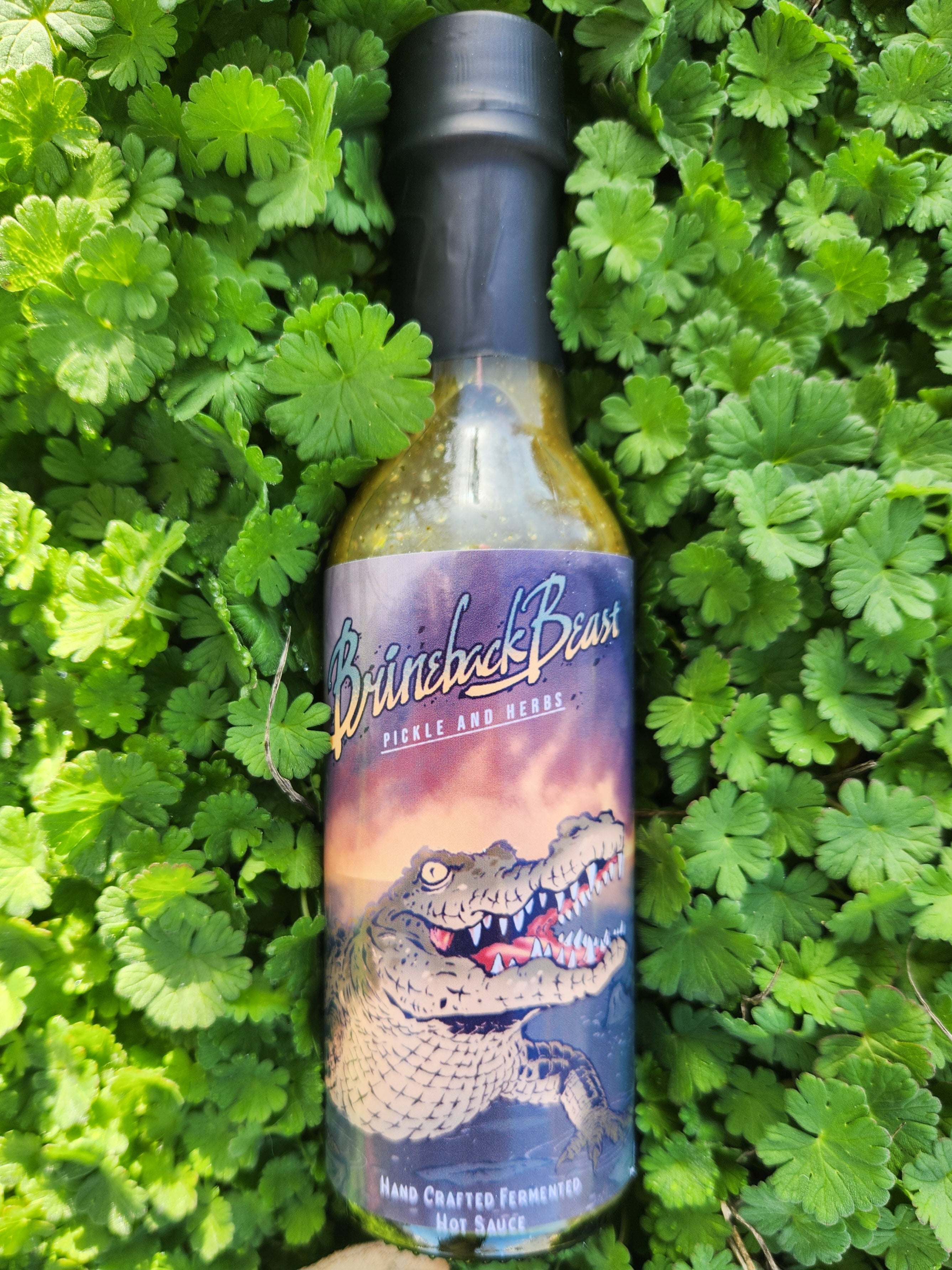 Brineback Beast - Hot